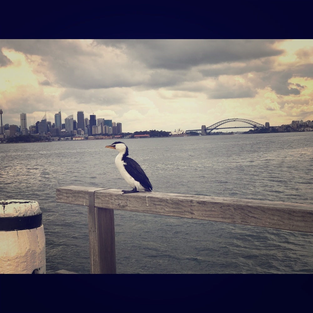 Meet your Posher, Lane